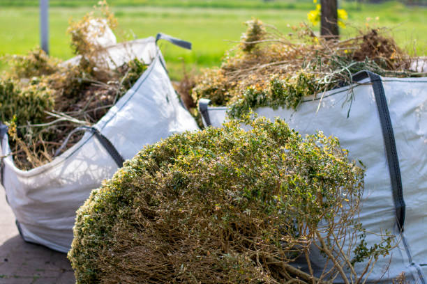 Best Yard Waste Removal  in Bridgeport, NE